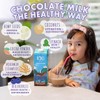 Chocolate Kiki Milk, Organic, Plant Based, Gum Free, GMO Free,
