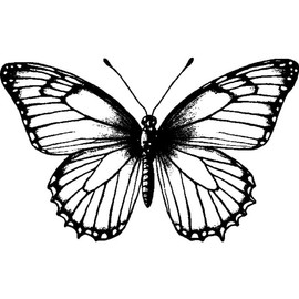 Azeeda 'Schmetterling mit offenen Flügeln' Unmontierter Gummistempel - für Basteln, Scrapbooking und Kartengestaltung - Größe A8 (RS00058934)