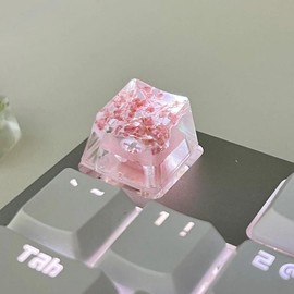 1Pcs High Quality Epoxy DIY Translucent Leaves Dry Flowers Paper Cross Axis Mechanical Keyboard Keycap Universal Accessories:_Pink