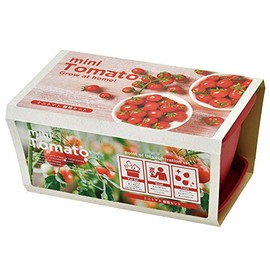 Seishin Pottery GD-93102 Enjoy Planter, Mini Tomato, Veggie