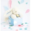 Doudou et Compagnie Bonbon Rabbit Soft Toy 25 cm