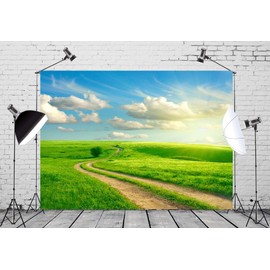Loccor Fabric 7x5ft Sky Backdrop Summer Landscape Green Grass Road Clouds Photography Background Nature View Outdoor Activity Kids Birthday Decorations Photo Videos Portrait Studio Props Tapestry