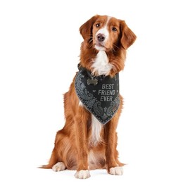 Reddy BFF Bandana for Dogs and Cats Black X-Small/Small
