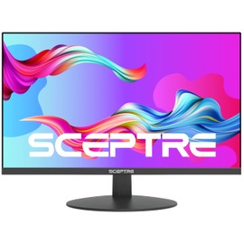 Sceptre Sceptre IPS 24-Inch Business Computer Monitor 1080p 75Hz with HDMI VGA Build-in Speakers, Machine Black (E248W-FPT)