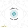 Pukka Organic Three Ginger Tea
