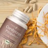 effective nature - Hochdosiertes Cordyceps-sinensis Pilz Pulver - 90 vegane