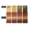 L'Oréal Tinte Preference Loréal Alto Brillotono 7.34