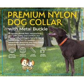 Country Brook Petz Premium Nylon Dog Collar with Metal Buckle for Small Medium Large Breeds - Vibrant 30+ Color Selection (Medium, 3/4 Inch, Royal Blue)