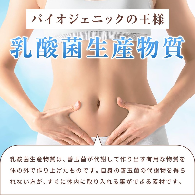 乳酸菌10000／ROTTS-1（2g×30包） ナノ型乳酸菌 微粒子乳酸菌 ミルクオリゴ糖 ラクチュロース 乳酸菌生産物質 シトルリン イヌリン 配合 サプリメント