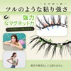 LASHVIEW with Magnetic Eyelash Applicator, Reusable Soft Magnetic Eyelashes Natural