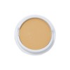 Lewiscaren HD Powder Functional Pact Refill 1 x, No. 21
