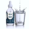 Baja Gold Liquid Ocean Trace Mineral Drops - Ionic Electrolytes