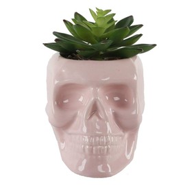 Flora Bunda 4.5X3.5 Ceramic Sugar Skull Succulent, PK