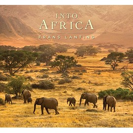 Into Africa