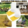 2 Pack Quail Waterer with Yellow Tray, 500ml Large Capacity