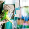 Bebedero Automático para Pájaros Comedero De Agua para Loros Dispensador