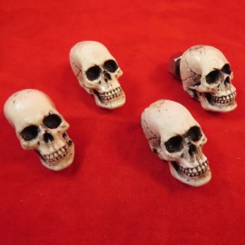 BawdyPartz American Made 4 License Plate Bolts Skull Hot Street Rat Rod Skeleton Punk 9PB4