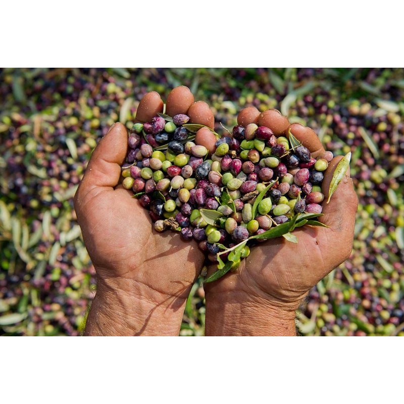 Mani Organic Pitted Kalamata & Green Olives Al Naturale 175