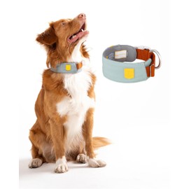 Woolly Wolf Alpha 360 Collar for Medium Dogs Size M Glacier Green - Sustainable and Comfortable, Reflective for Increased Safety in Poor Vision