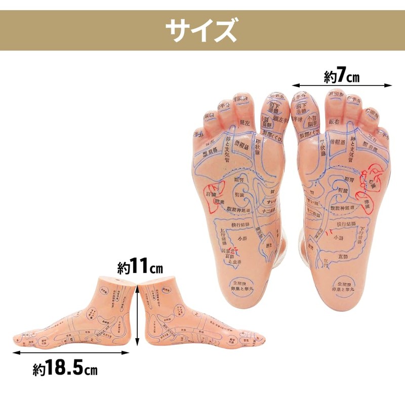 UPstore Reflection Area, Acupuncture Poles, 3D Illustration, Japanese Notation, Left