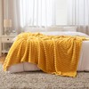 MIULEE Cuddly Fluffy Blanket, Fleece Blanket, Flannel, Plain Blankets, Couch