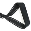 MODUS Reflective Leash for Dogs, Double-Sided Nylon Dog Training Leash