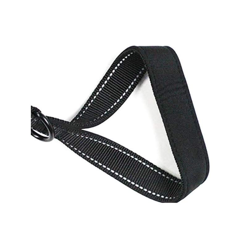 MODUS Reflective Leash for Dogs, Double-Sided Nylon Dog Training Leash