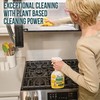 Mean Green Non-Concentrated Ready-to-Use Multi-Purpose Cleaner, Citrus & Green Tea,