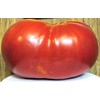Tomato Big Zac - Six Pounders
