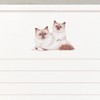 Minou 445010 Letter Set, Stationery, Envelopes, Horizontal Ruled, Cats, Cats,