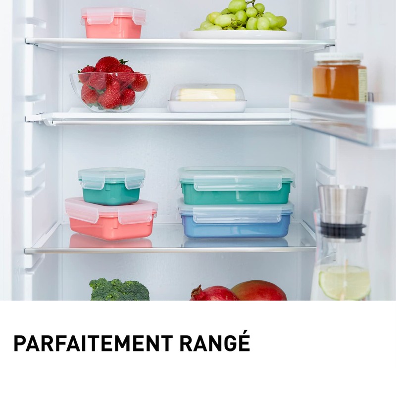 Tefal Masterseal Colour Edition Terracotta Rectangular Set of 4