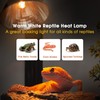 Briignite G9 Heat Lamp Bulbs for Reptile, Mini Reptile Light,