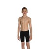 Speedo Boy's Essential Endurance Plus Jammer Swimwear - Black, Size