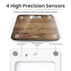 RENPHO Digital Bathroom Scale, Highly Accurate Body Weight Scale with