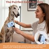 3PCS Cat & Dog Brush Set: Slicker & Deshedding Brush,