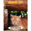 Ginger Cat Photo Book: Learn More About This Cat With