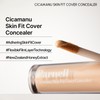Parnell Cicamanu Skin Fit Cover Concealer - Concealer No. 21