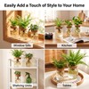 6Pcs Glass Plant Propagation Stations, Desktop Flower Vases, 3 Size