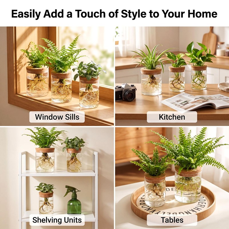 6Pcs Glass Plant Propagation Stations, Desktop Flower Vases, 3 Size