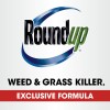 Roundup Weed and Grass Killer4 with Comfort Wand, 1 gal.