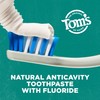 Tom's of Maine Whole Care Natural Toothpaste with Fluoride, Cinnamon