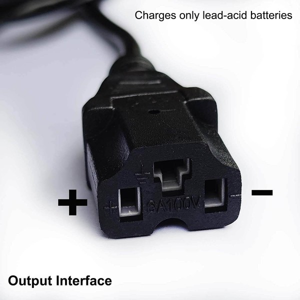 Amruta2015 48V 20AH Lead Acid Battery Charger for Electric Bike