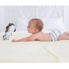 SmartNappy Disposable Inserts for by Amazing Baby Hybrid Diaper Cover,