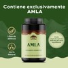 TIBET NATURA – Amla 500 mg Suplemento Alimenticio Natural |