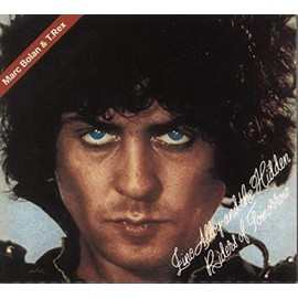 Zinc Alloy and the Hidden Riders of Tomorrow