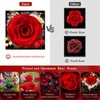 Lebana Preserved Real Black Rose Birthday Gifts for Women Wife