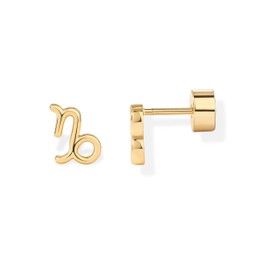 PAVOI 14K Yellow Gold Plated Sterling Silver Posts Zodiac Sign Flat Back Earring Studs | Birthday Gift for Women | Astrology Earring Pair | Capricorn