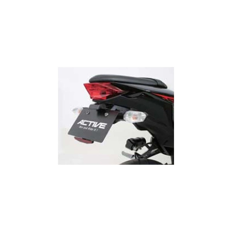 Active 1157079 Fenderless Kit (with LED Number Light) [Ninja250/Z250 ('13)]