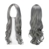 EUPSIIU Long Wavy Silver Grey Wig for Women Girls, 27