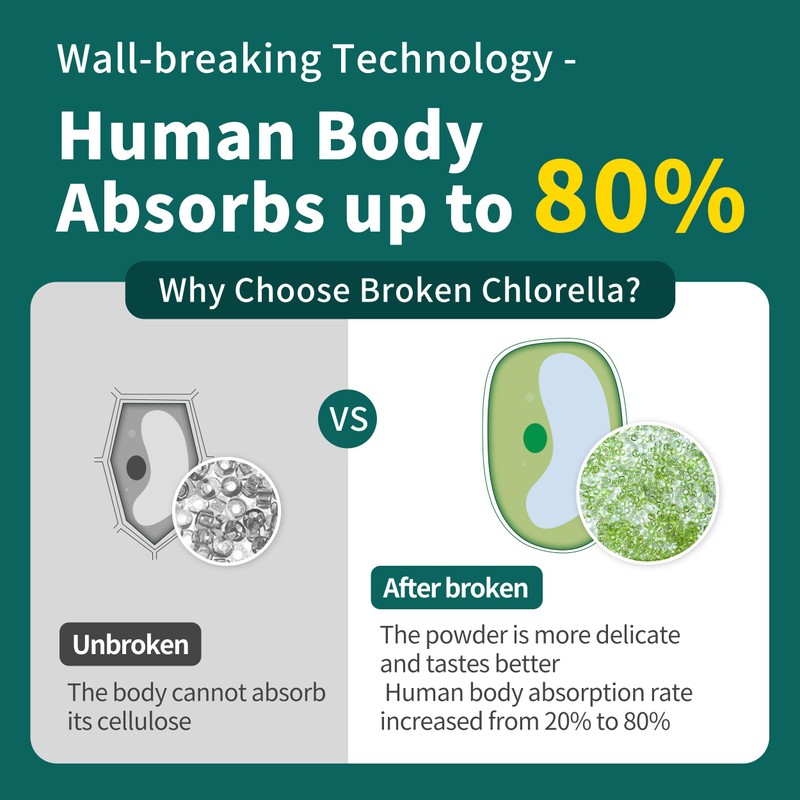 Chlorella Powder Natural- Chlorophyll Powder, Supports Immune System & Liver